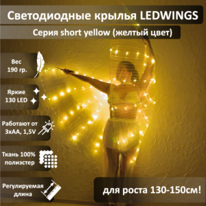 Светодиодные крылья LEDWINGS