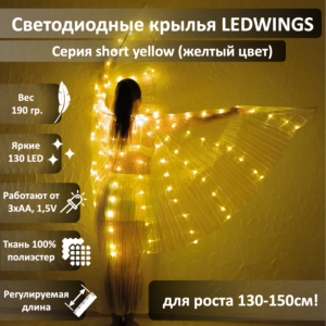 Светодиодные крылья LEDWINGS